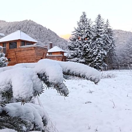 Escale Cab'Ane Hotel Mittlach Kültér fotó